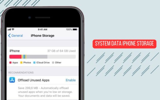System Data iPhone Storage